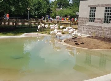 illinois/western-illinois/attraction/miller-park-zoo