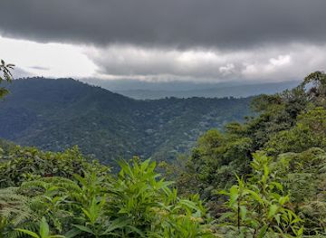 colombia/cocora-valley/attraction/reserva-natural-la-patasola