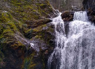 california/shasta-cascade/attraction/shasta-vortex-adventures
