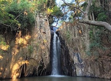 zimbabwe/chimanimani-national-park/attraction/nyachowa-falls