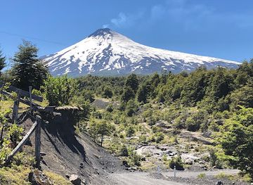 chile/pucon/attraction/canopy-pino-huacho