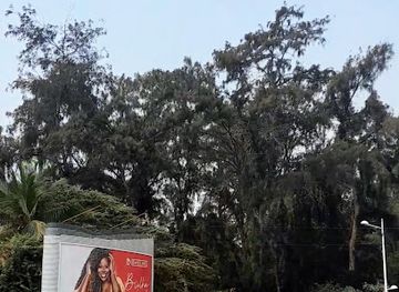 angola/luanda/ingombota/attraction/floresta-da-ilha-de-luanda