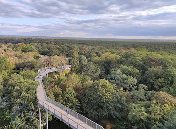 germany/brandenburg/attraction/baum-und-zeit