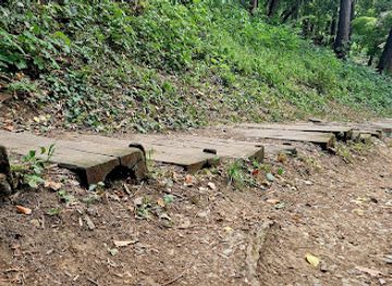 romania/sighisoara/attraction/alte-holztreppen-zur-burg