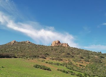 algeria/oued-righ/attraction/tharset-el-ghoul