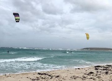 aruba/sero-blanco/attraction/grapefield-beach