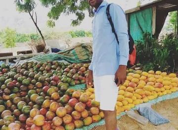 cameroon/maroua/attraction/pavillon-vert