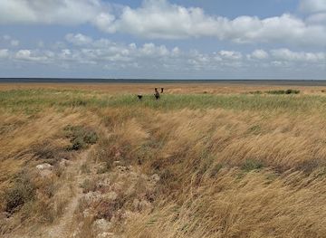 azerbaijan/goygol-national-park/attraction/absheron-national-park
