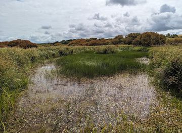 united-kingdom/pembrokeshire-coast-national-park/attraction/cors-llangloffan-llangloffan-fen