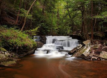 pennsylvania/bald-eagle-state-park/attraction/allegheny-national-forest