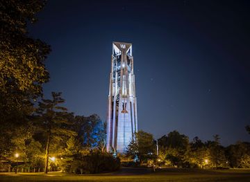illinois/chicagoland/attraction/millennium-carillon