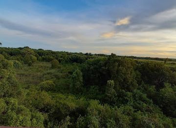 zambia/kasanka-bat-forest/attraction/kasanka-national-park