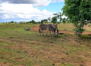 malawi/lilongwe-plain/attraction/r-l-game-ranch