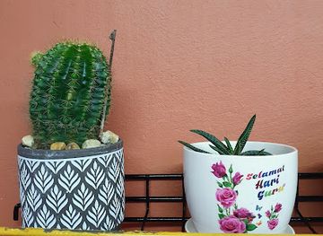 trinidad-and-tobago/penal-debe/attraction/aripero-wetlands