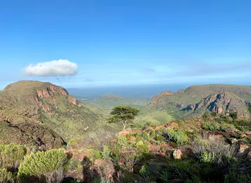 Lenong View Point