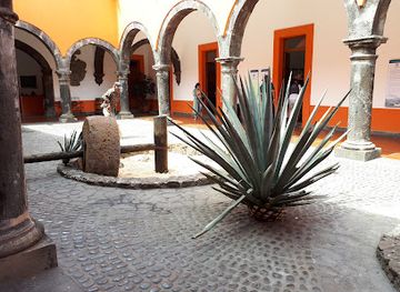 mexico/tequila-valley/attraction/national-museum-of-tequila