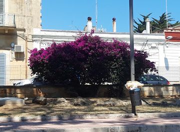 italy/bari/santo-spirito/attraction/giardino-don-cosimo-stellacci