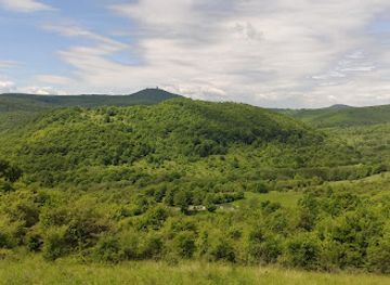 hungary/zemplen-mountains/attraction/barat-piheno