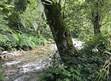 romania/fagaras-mountains/attraction/izvor