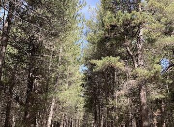 italy/taormina/attraction/monte-vetore