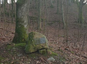 denmark/frederikshavn/attraction/kongeegen