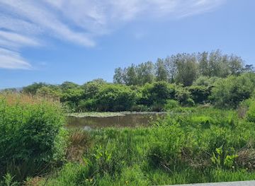 isle-of-man/port-st-mary/attraction/mwt-ballachurry-nature-reserve