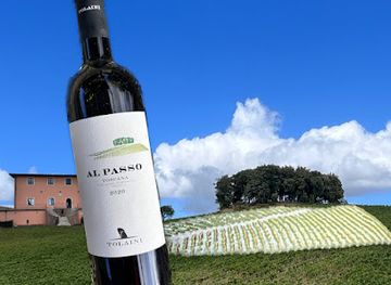 italy/chianti-classico/attraction/tolaini-winery