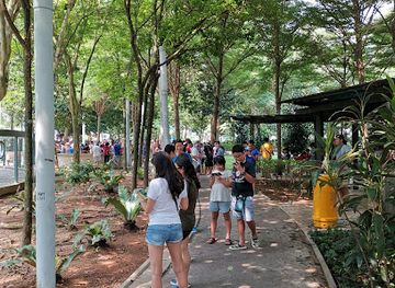 singapore/novena/attraction/toa-payoh-sensory-park
