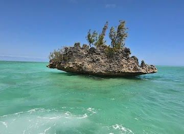 mauritius/chamarel/attraction/ile-aux-benitiers