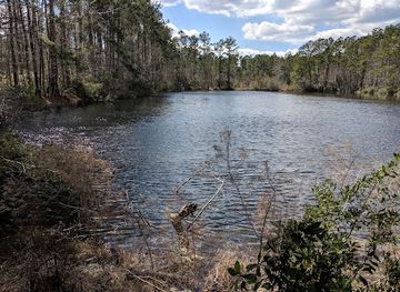 south-carolina/francis-marion-national-forest/attraction/sewee-visitor-environmental-education-center