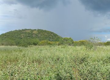 brazil/serra-da-capivara-national-park/attraction/lagoa-do-jacare