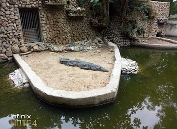 chad/lake-chad/attraction/zoo-bridge