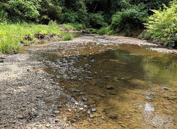 ohio/wayne-national-forest/attraction/hemlock-bridge-trail-hocking-hills-state-park