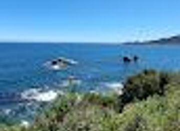 chile/valdivia/attraction/reserva-valdiviana-sendero-los-colmillos