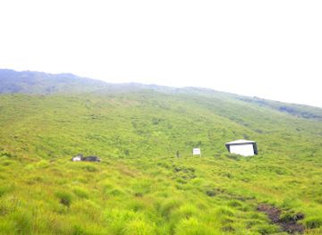 cameroon/south-west-region/attraction/cameroon-mountain