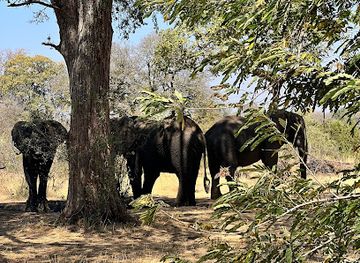 zambia/kasanka-bat-forest/attraction/livingstone-crocodile-park