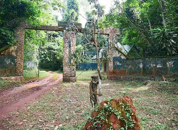 nigeria/owu-forest-reserve/attraction/okomu-national-park