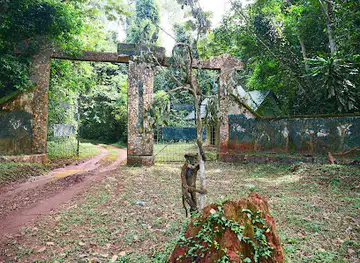 Okomu National Park