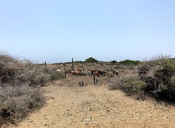 aruba/arikok-national-park/attraction/vader-piet-entrance-to-arikok-national-park