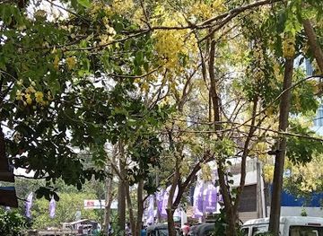 sri-lanka/matara/attraction/awidina-manthiruwa