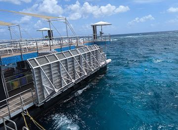 australia/great-barrier-reef/attraction/reef-magic-pontoon