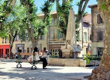 france/nimes/attraction/office-de-tourisme-intercommunal-alpilles-en-provence-saint-remy-de-provence