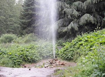 slovakia/turiec/attraction/geyser-in-rajecka-lesna