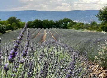 france/luberon/attraction/roussillon-lavender-farms