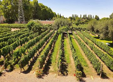argentina/cuyo/attraction/bodega-roberto-bonfanti