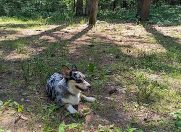 maryland/green-ridge-state-forest/attraction/green-ridge-state-forest-campsite-15