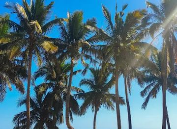 madagascar/atsimo-andrefana/attraction/plage-de-madiorano