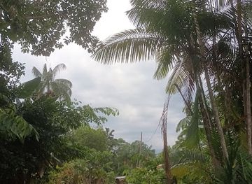 colombia/leticia/attraction/santander-1-park