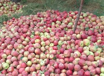 uzbekistan/djizak/attraction/chimqurgan