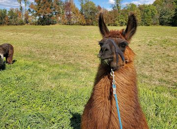 vermont/molly-falls-state-park/attraction/agape-hill-farm
